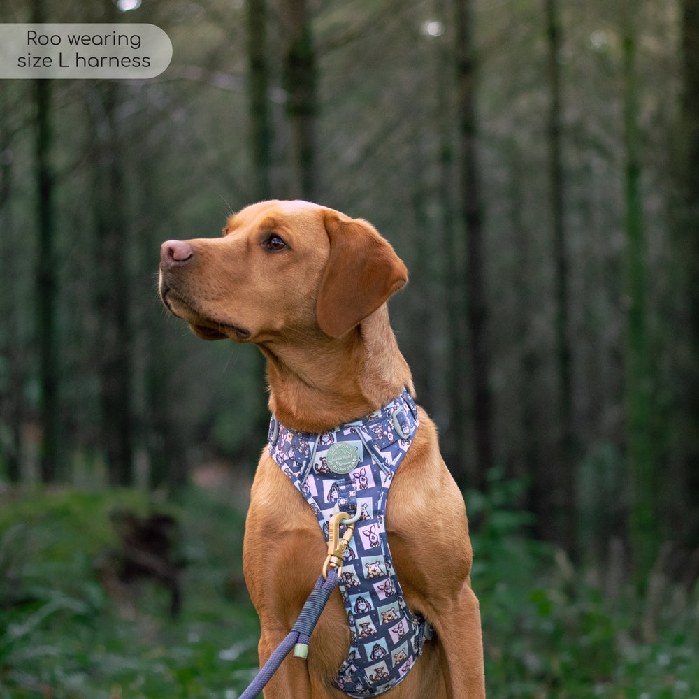 Disney© Tough Trails™ Harness -  Winnie + Friends