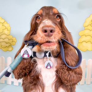 Disney© 4ft Rope Lead - Eeyore - Baby Blue and Navy