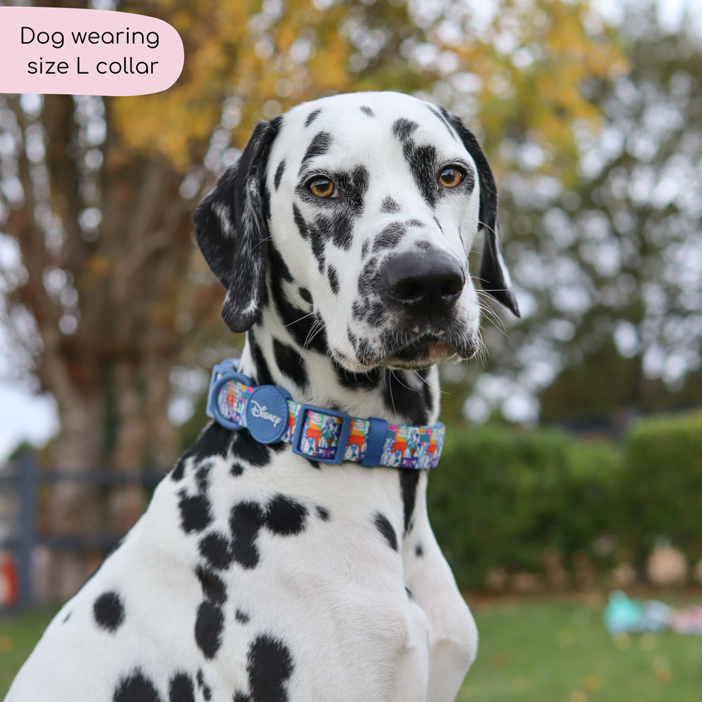 Disney© Collar - Lady + The Tramp