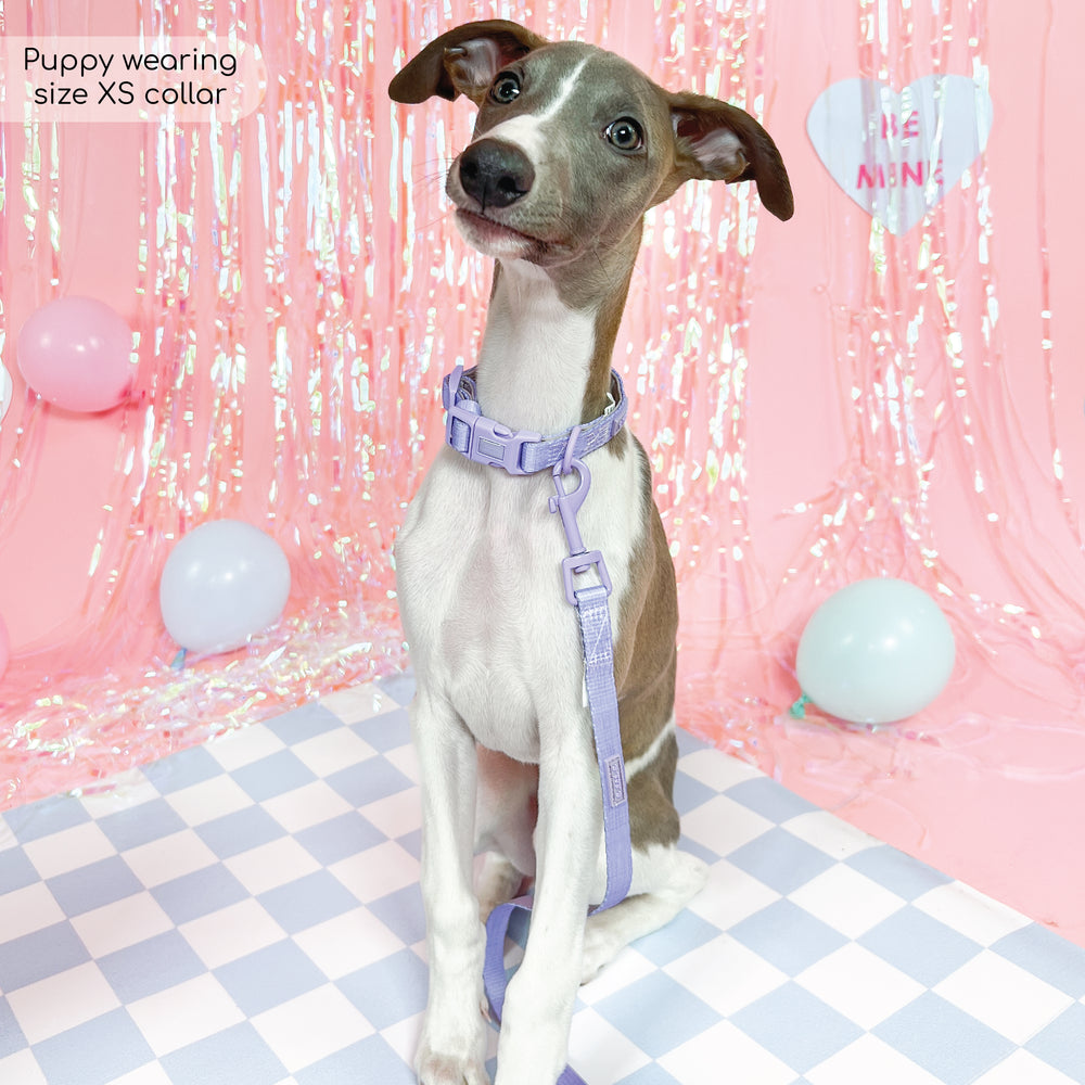 Pawsome Pup Collar and Lead Set - Lilac