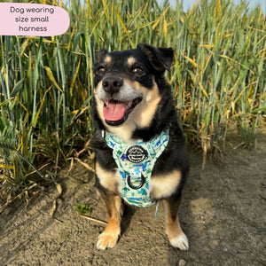 Tough Trails™ Harness - Dinky Dino