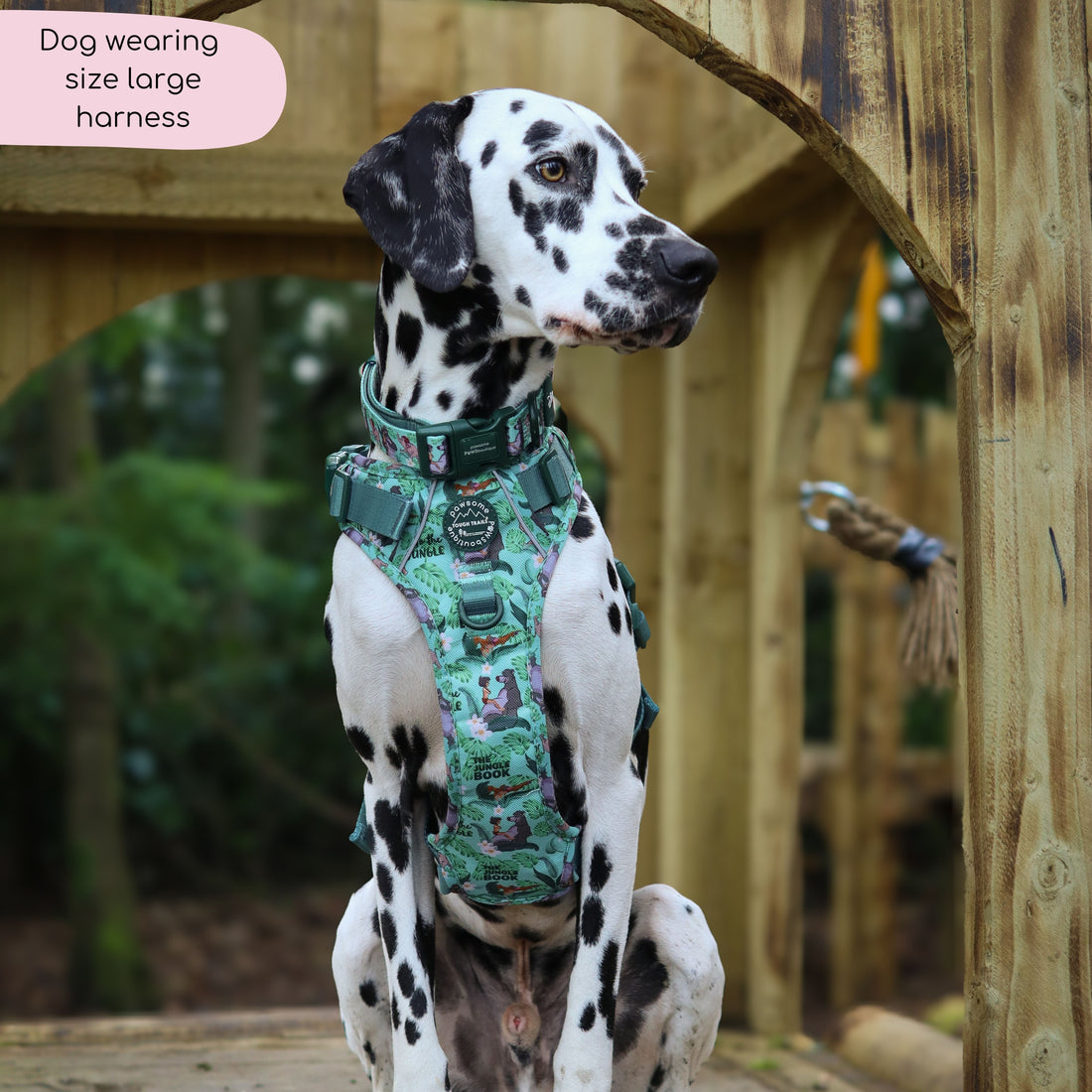 Disney© Tough Trails™ Harness - Jungle Book
