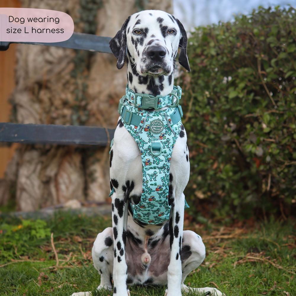 Disney© Tough Trails™ Harness - Rex