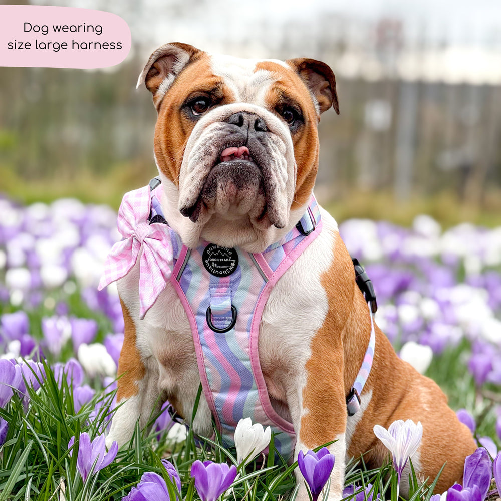 Tough Trails™ Harness - PPB Pastel Swirl