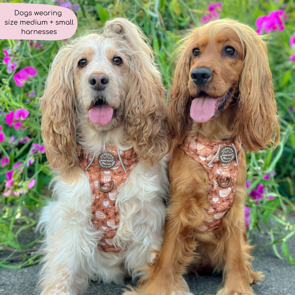 Tough Trails™ Harness - Cinnamon Spice