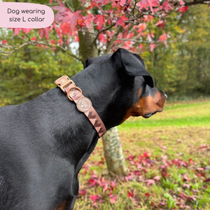 Collar – Walkies Ready® Chocolate Brown