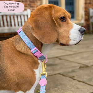 Disney© Collar - Mad Hatters Tea Party