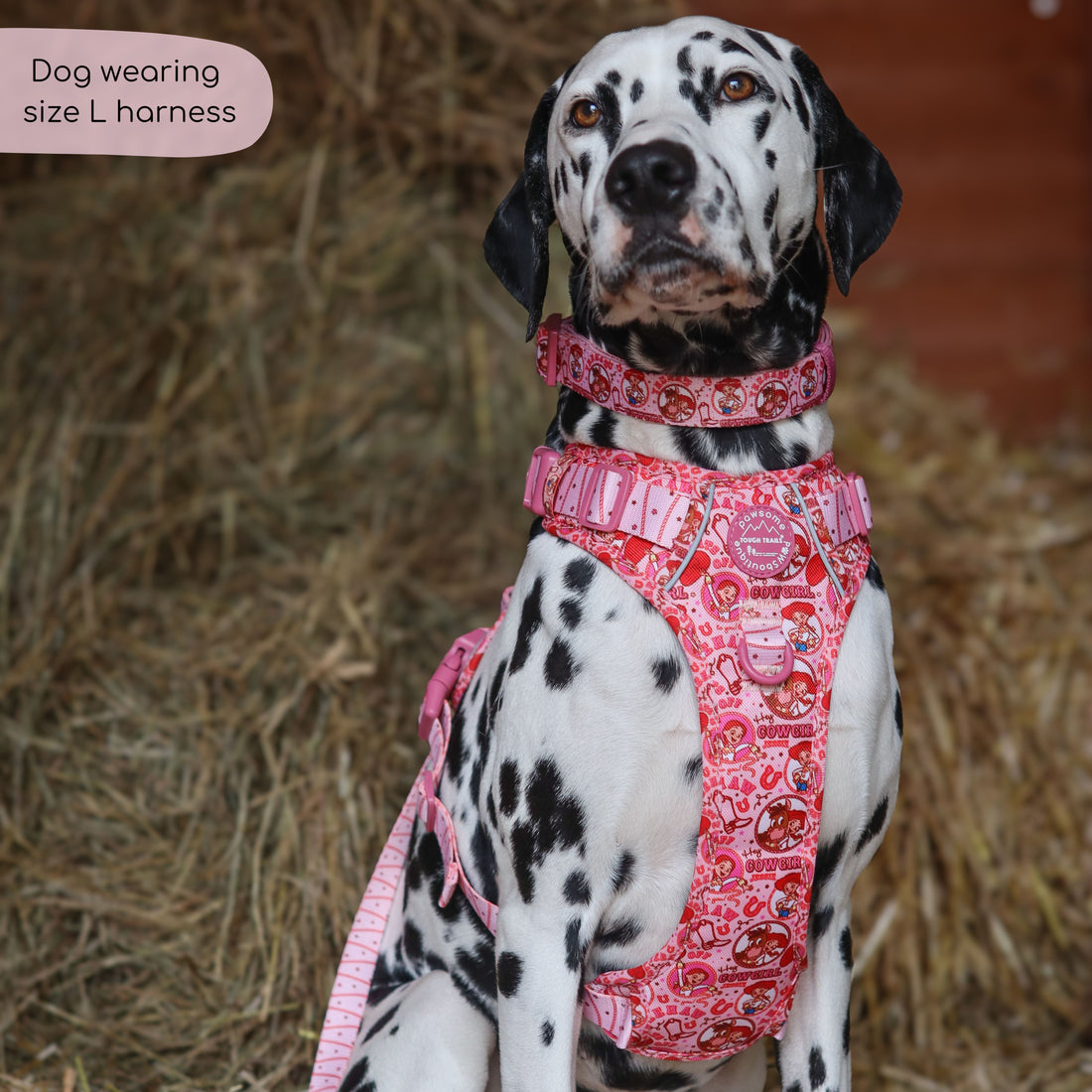 Disney© Tough Trails™ Harness - Jessie
