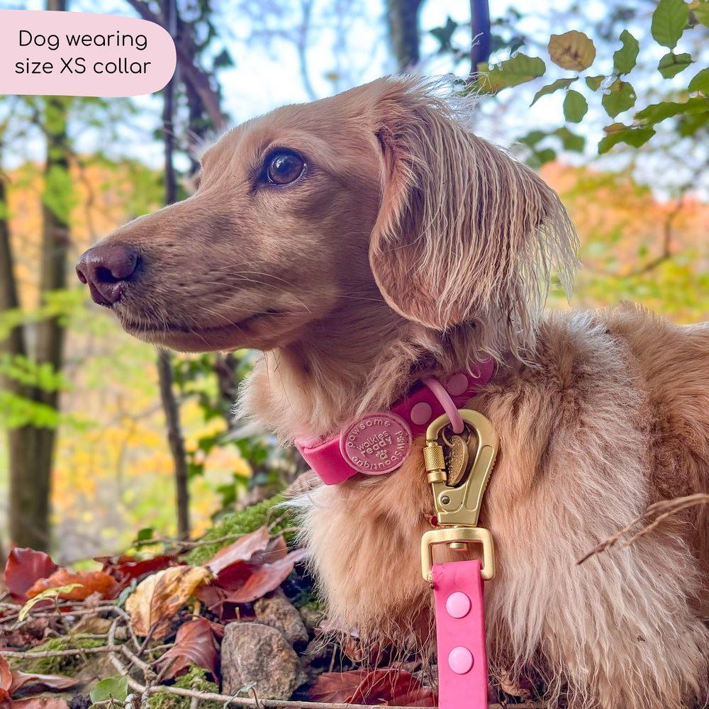 Waterproof Collar - Walkies Ready® Raspberry Pink