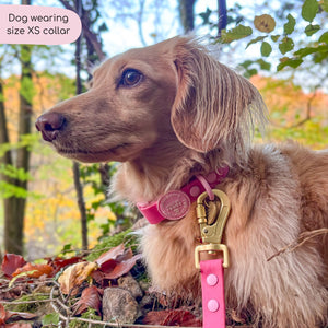 Waterproof Collar - Walkies Ready® Raspberry Pink