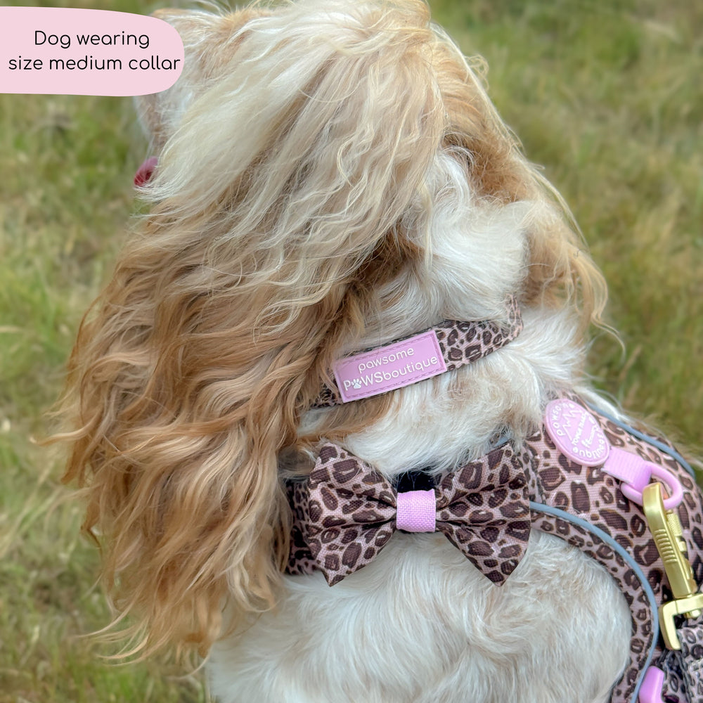 Collar - Leopard Print