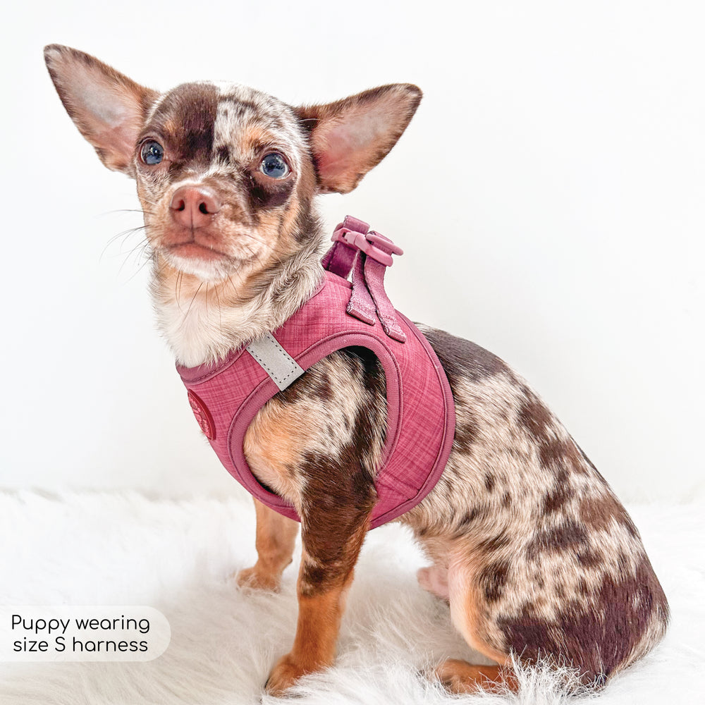 Pawsome Pup Harness - Burgundy