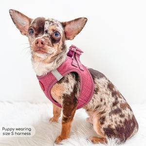 Pawsome Pup Harness - Burgundy