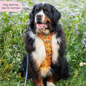 Tough Trails™ Harness - Celestial Spirit