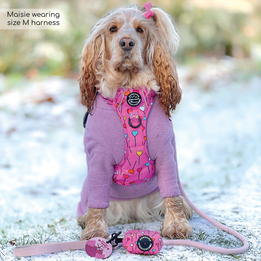 Poo Bag Holder – Candypop