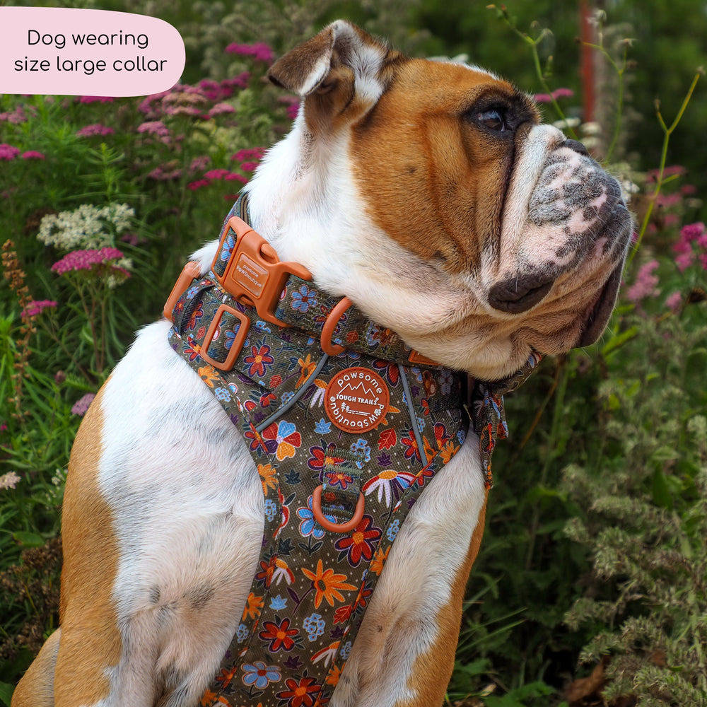 Collar - Rust & Bloom