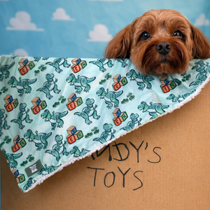 Disney© Dog Blanket - Rex