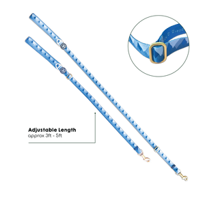 AdjustFit Lead - Walkies Ready® Cornflower Blue