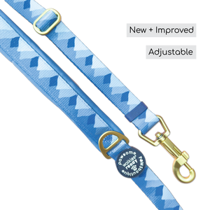AdjustFit Lead - Walkies Ready® Cornflower Blue