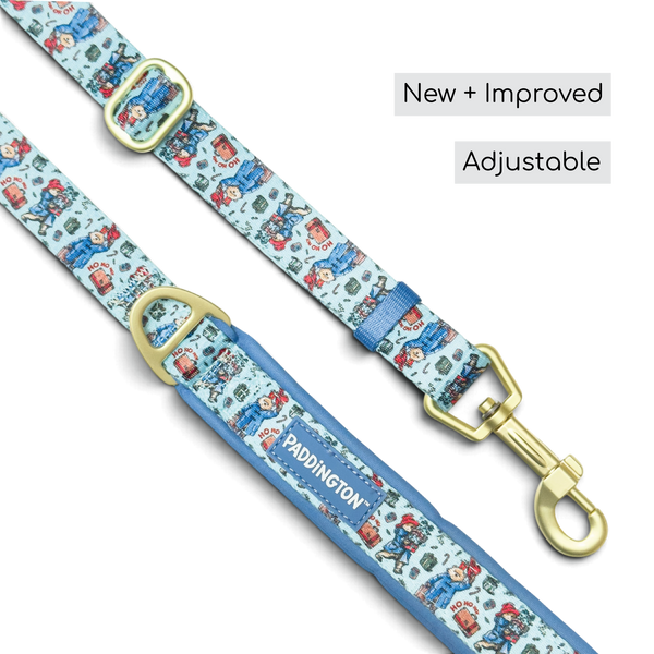 Paddington™ AdjustFit Lead - Christmas