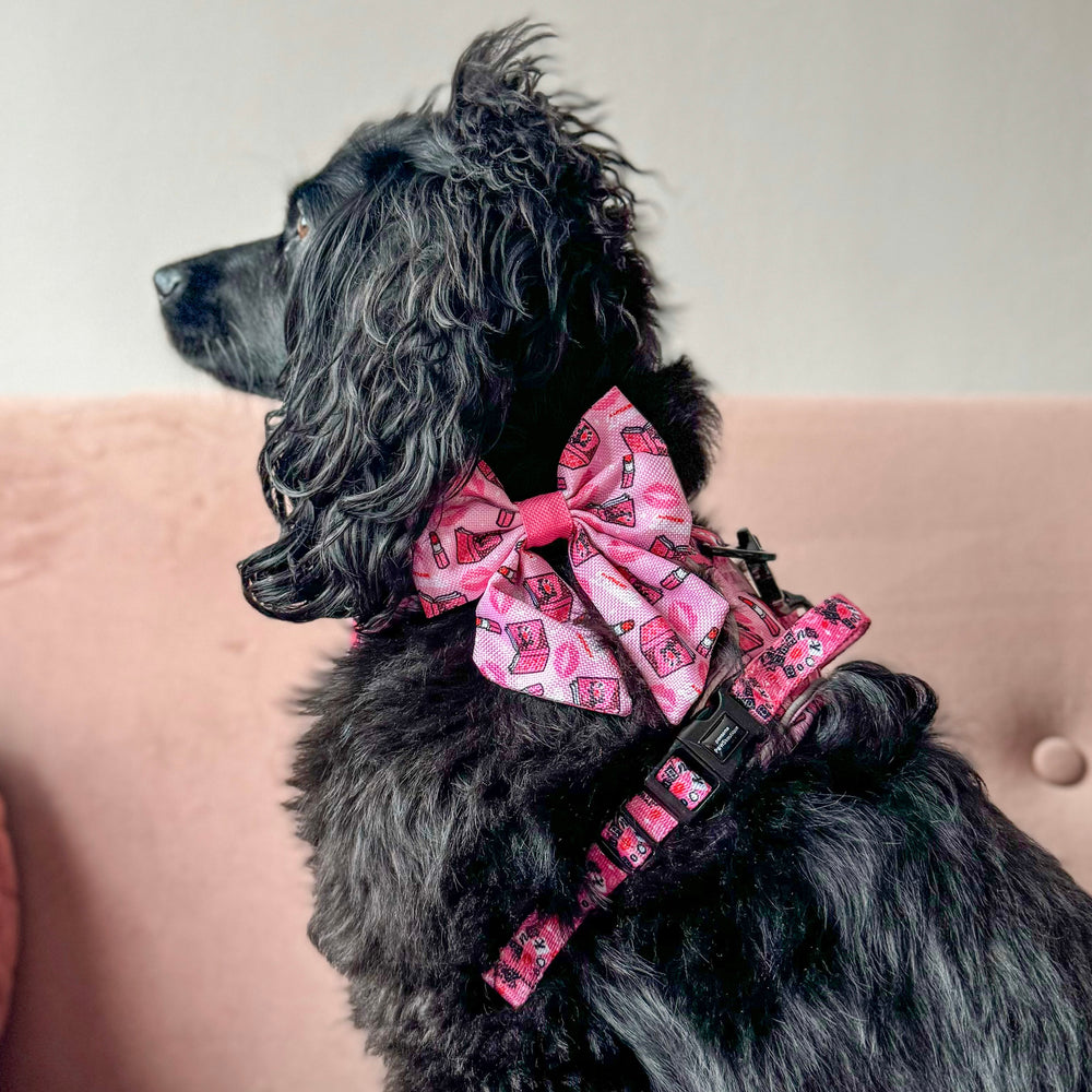 Sailor Bow -Mean Girls