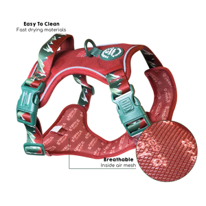 Tough Trails™ Harness - Walkies Ready® Snowy Mountains