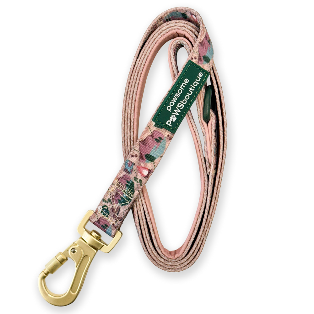 Lead - Adventure Awaits