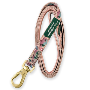 Lead - Adventure Awaits