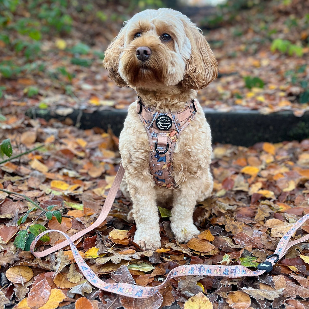 Disney© Lead - Disney Dogs