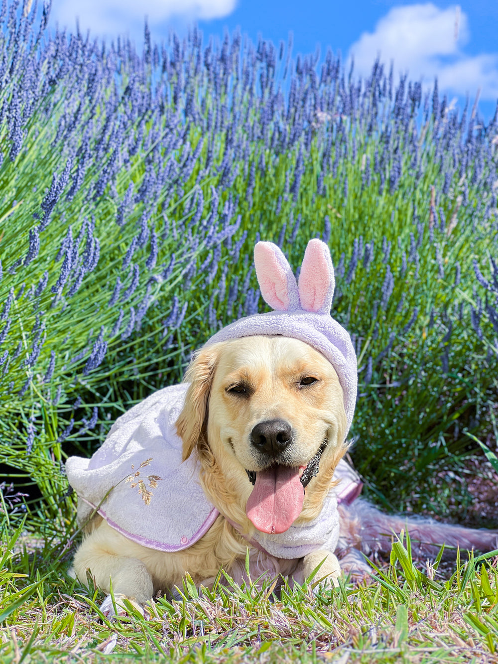 Disney© Hooded Microfibre Towel - Bambi + Friends Lilac