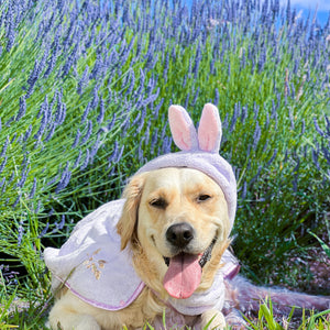 Disney© Hooded Microfibre Towel - Bambi + Friends Lilac