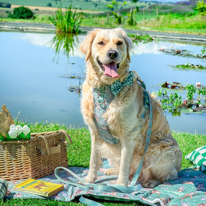 Disney© Travel Mat - Bambi + Thumper