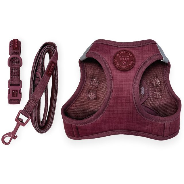 Pawsome Pup Burgundy Bundle