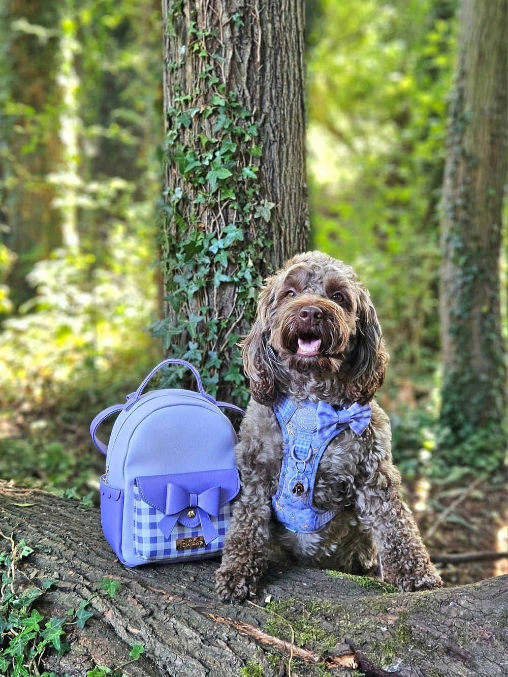 Disney© Dog Walking Backpack - Bambi
