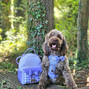 Disney© Dog Walking Backpack - Bambi