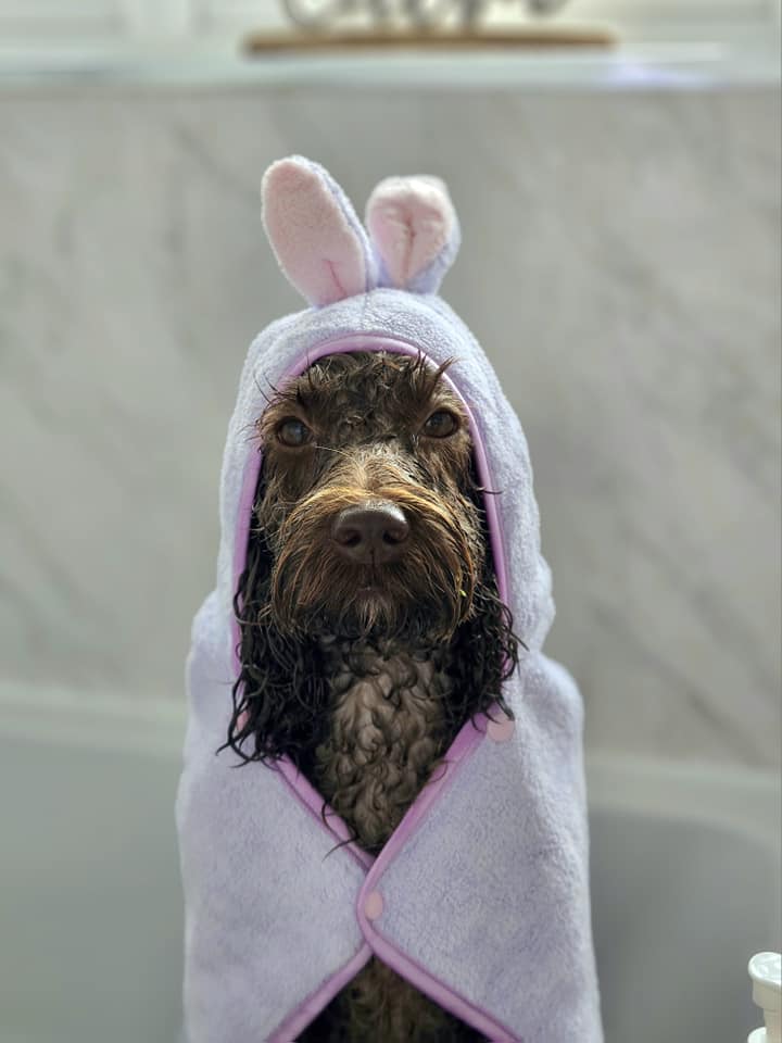 Disney© Hooded Microfibre Towel - Bambi + Friends Lilac