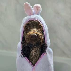 Disney© Hooded Microfibre Towel - Bambi + Friends Lilac