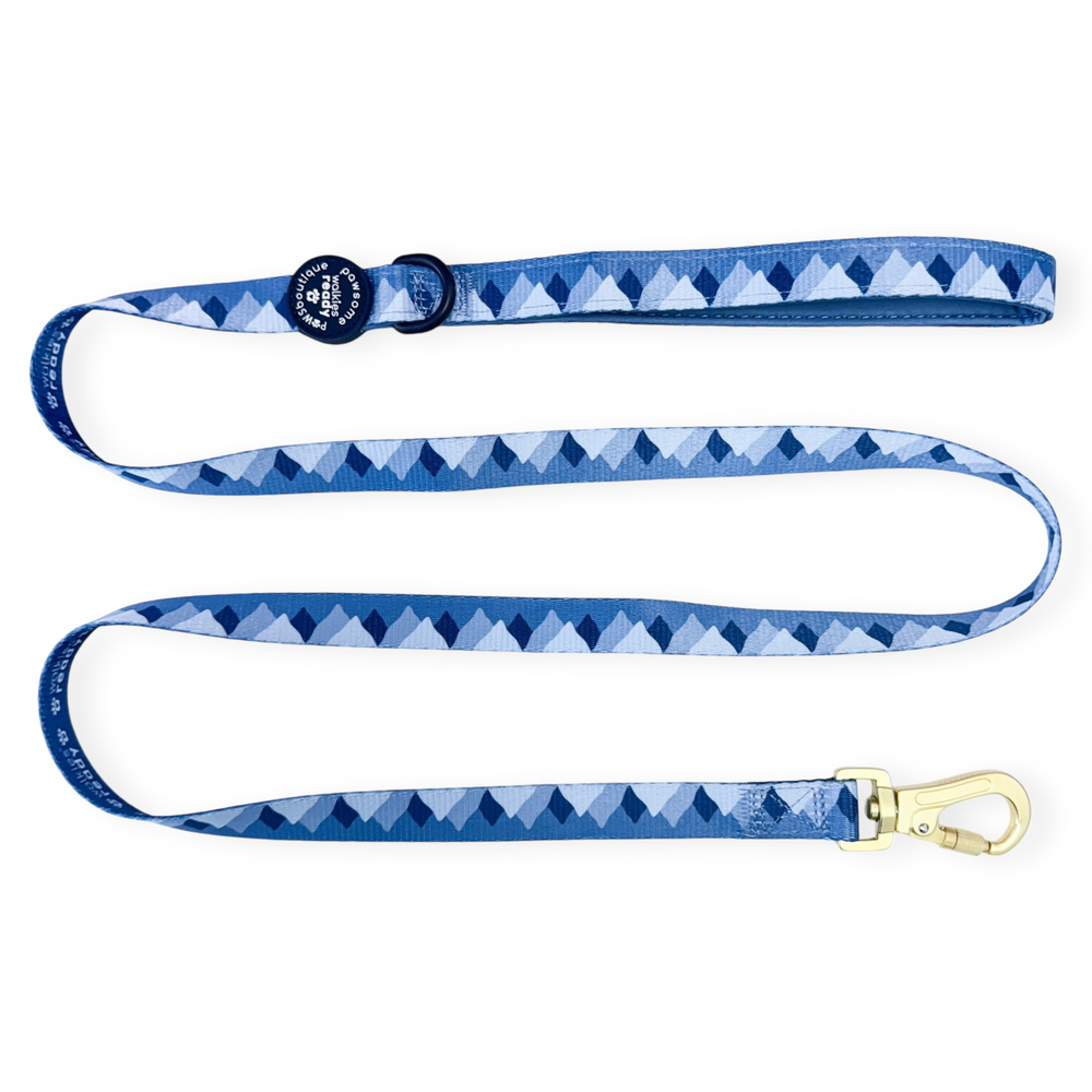 Lead - Walkies Ready® Cornflower Blue
