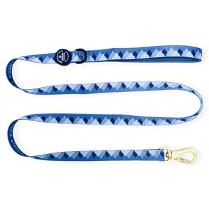 Lead - Walkies Ready® Cornflower Blue