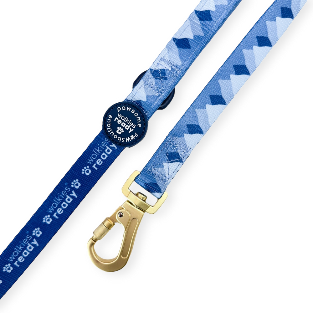 Lead - Walkies Ready® Cornflower Blue