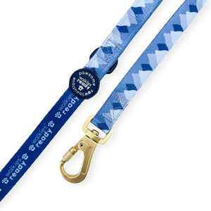 Lead - Walkies Ready® Cornflower Blue