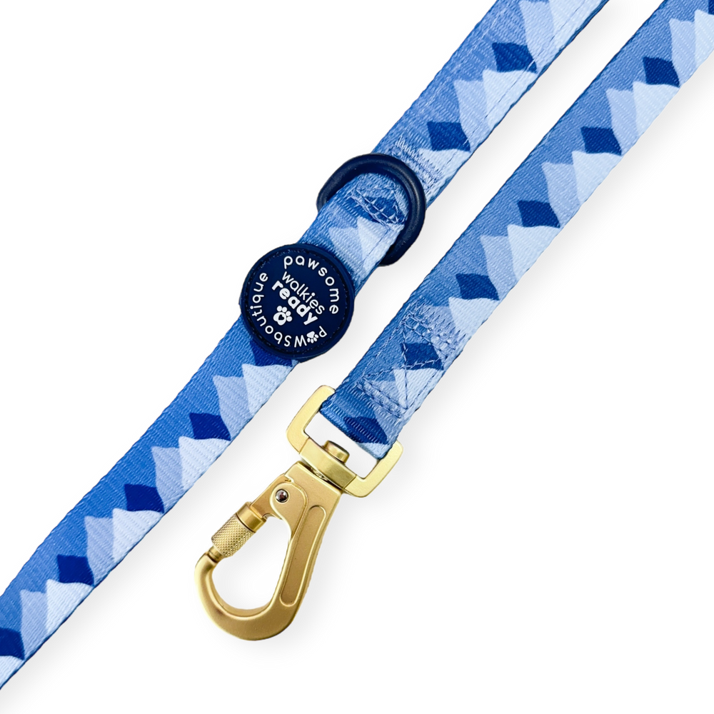 Lead - Walkies Ready® Cornflower Blue