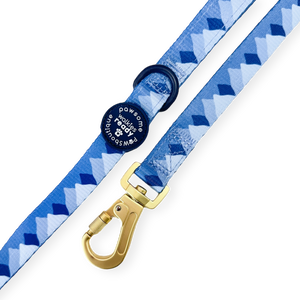 Lead - Walkies Ready® Cornflower Blue