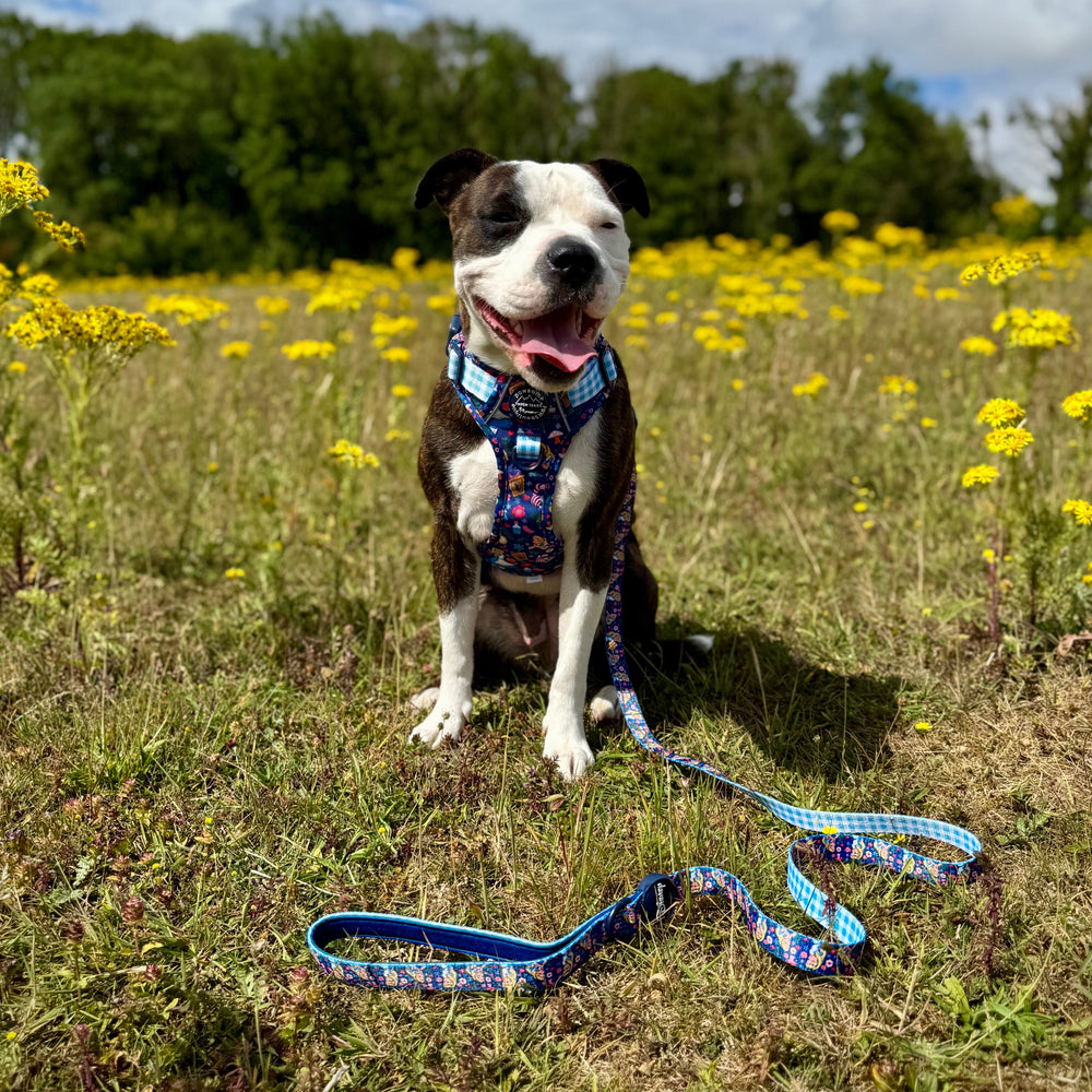 Disney© Lead - Alice In Wonderland