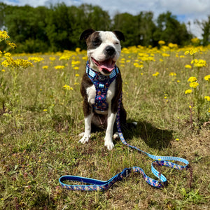 Disney© Lead - Alice In Wonderland