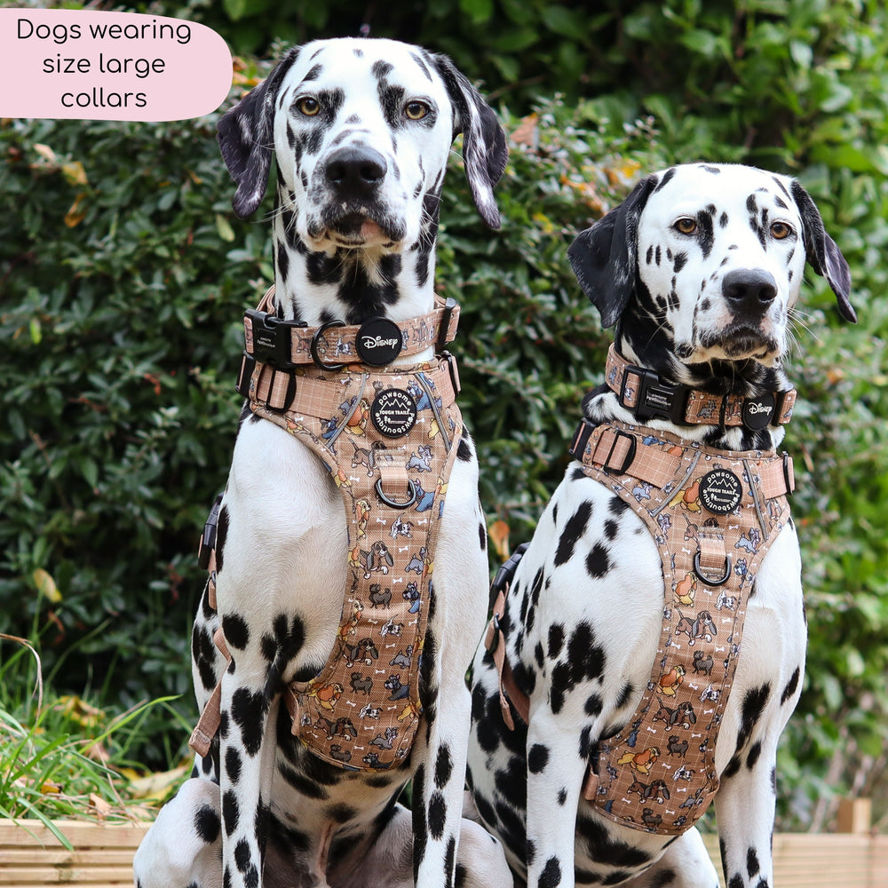 Disney© Collar - Disney Dogs