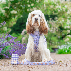 Disney© Lead - Bambi + Friends Lilac