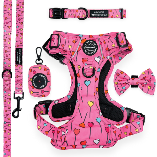 Candypop Ultimate Bundle