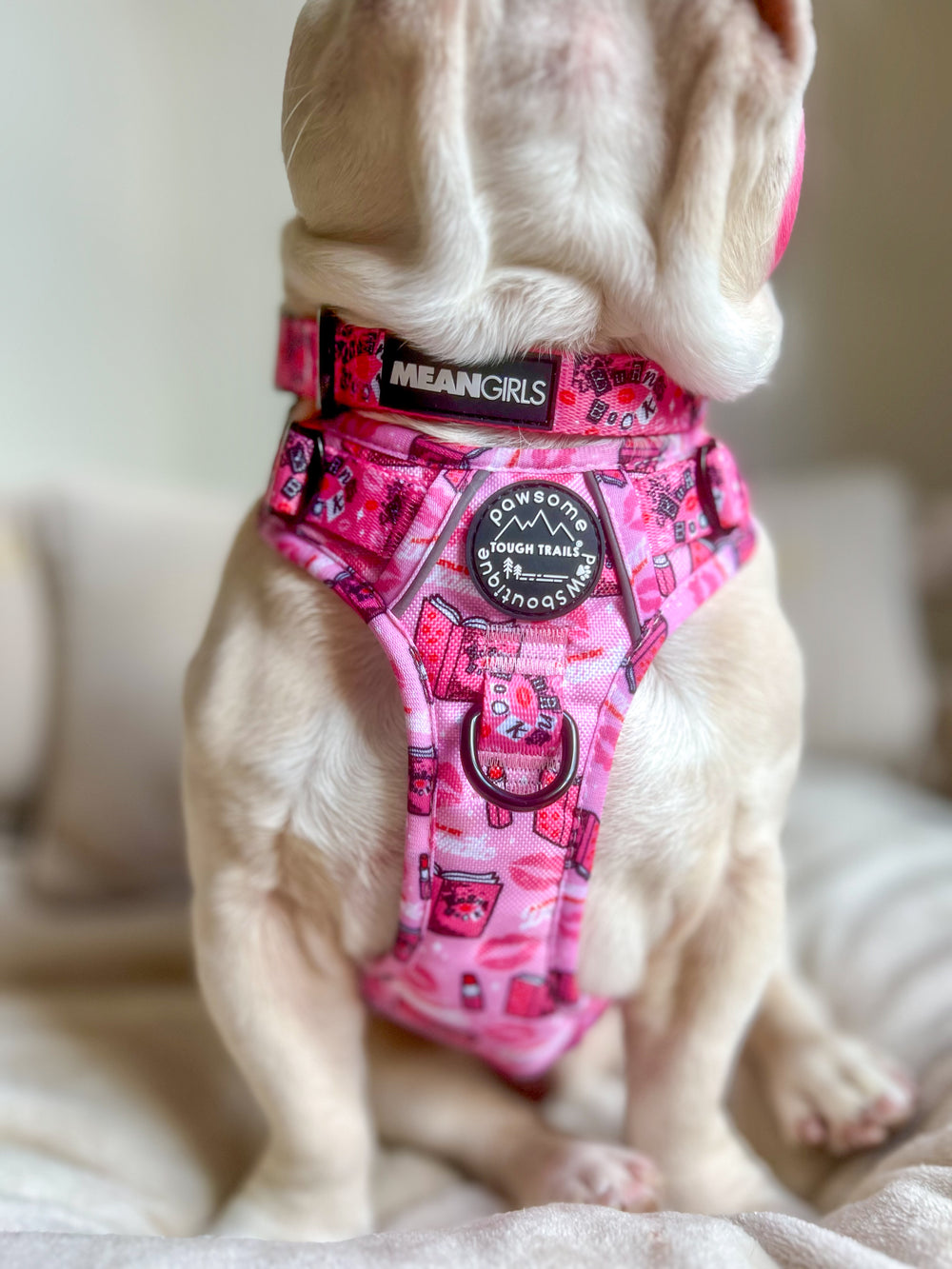 Tough Trails™ Harness - Mean Girls