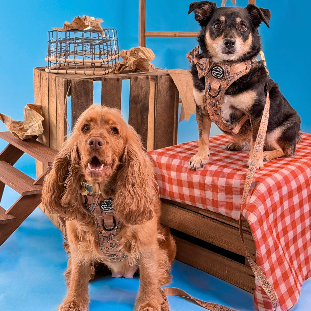 Disney© Lead - Disney Dogs